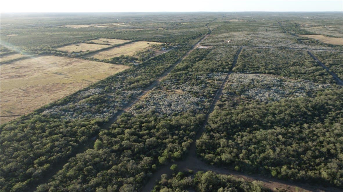 34.26 acres in Duval County - photo 12