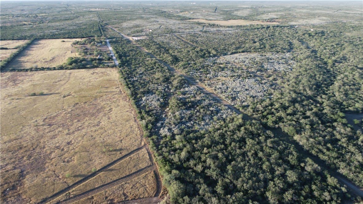 34.26 acres in Duval County - photo 10