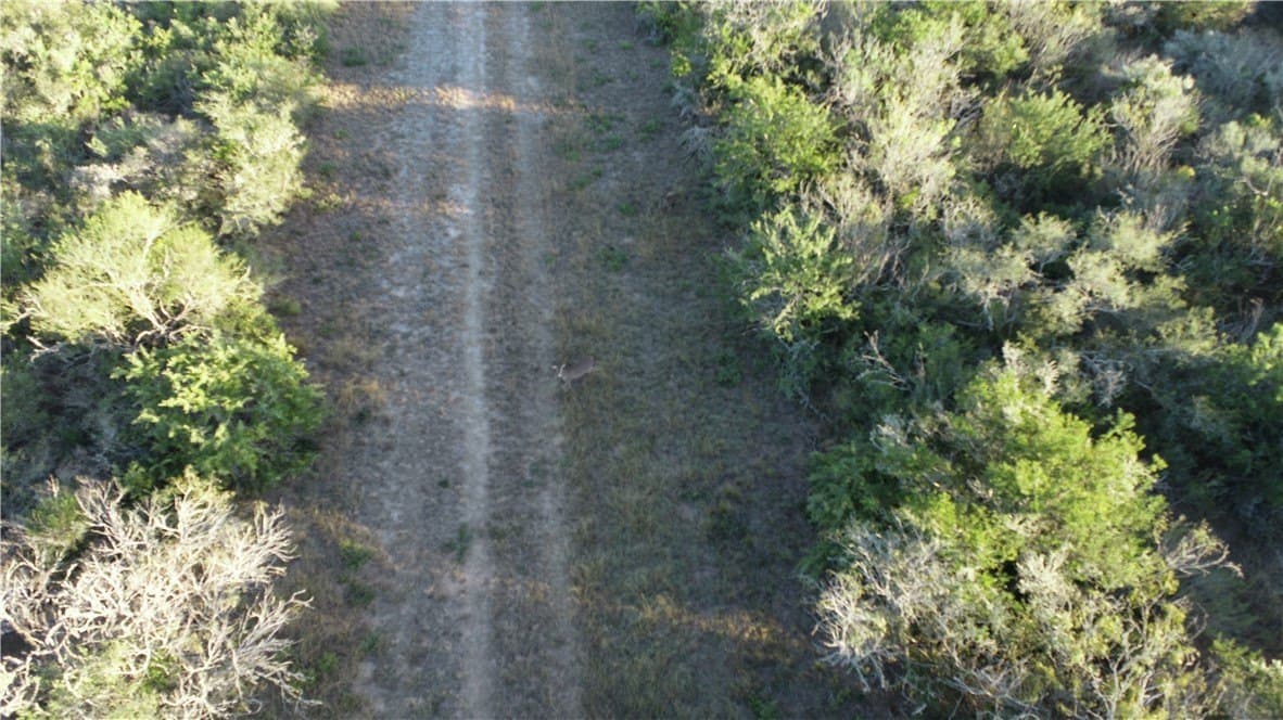 34.26 acres in Duval County - photo 19