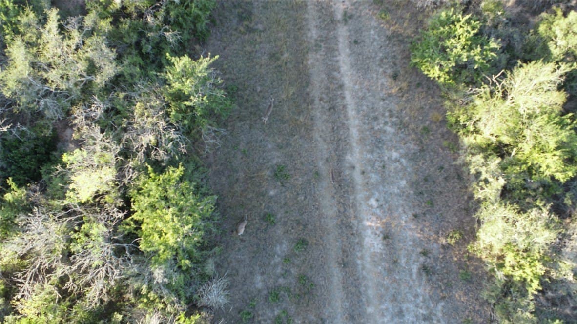 34.26 acres in Duval County - photo 18