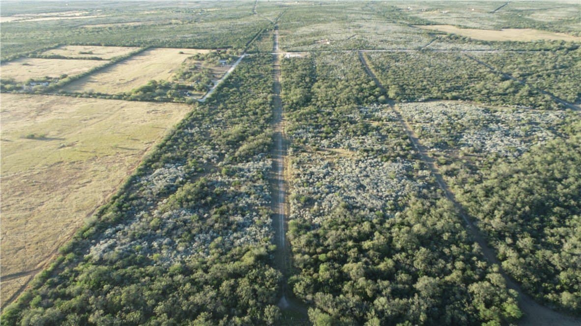 34.26 acres in Duval County - photo 8
