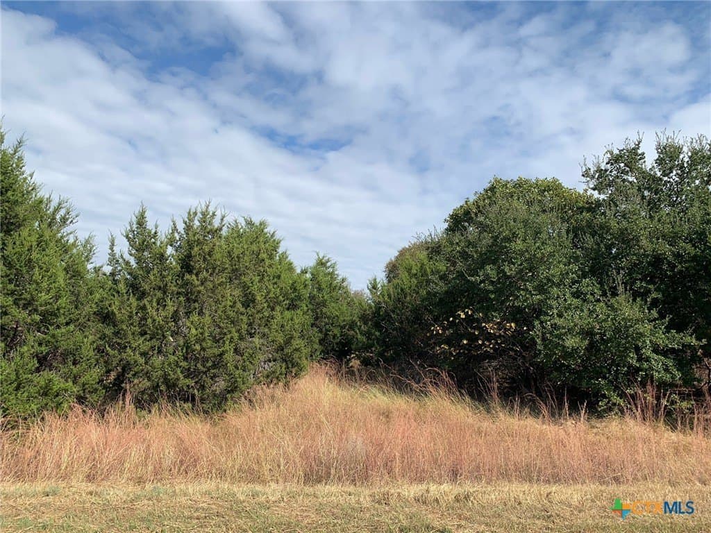4.4 acres in Bell County - photo 13