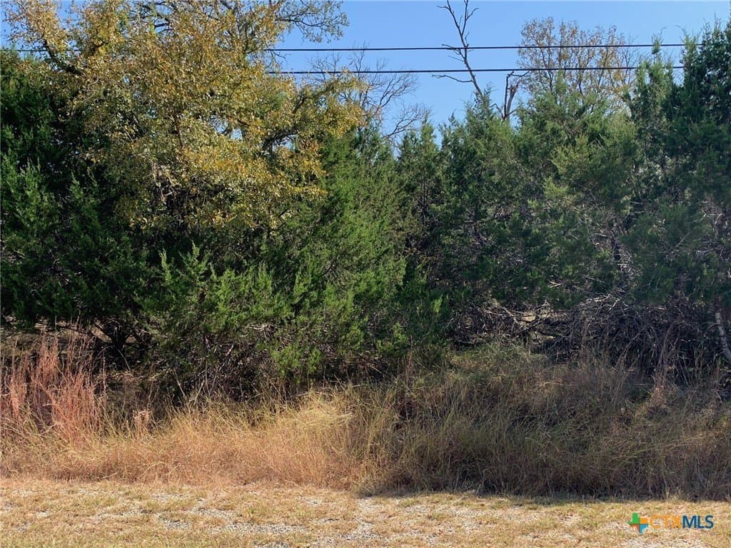 4.4 acres in Bell County - photo 24