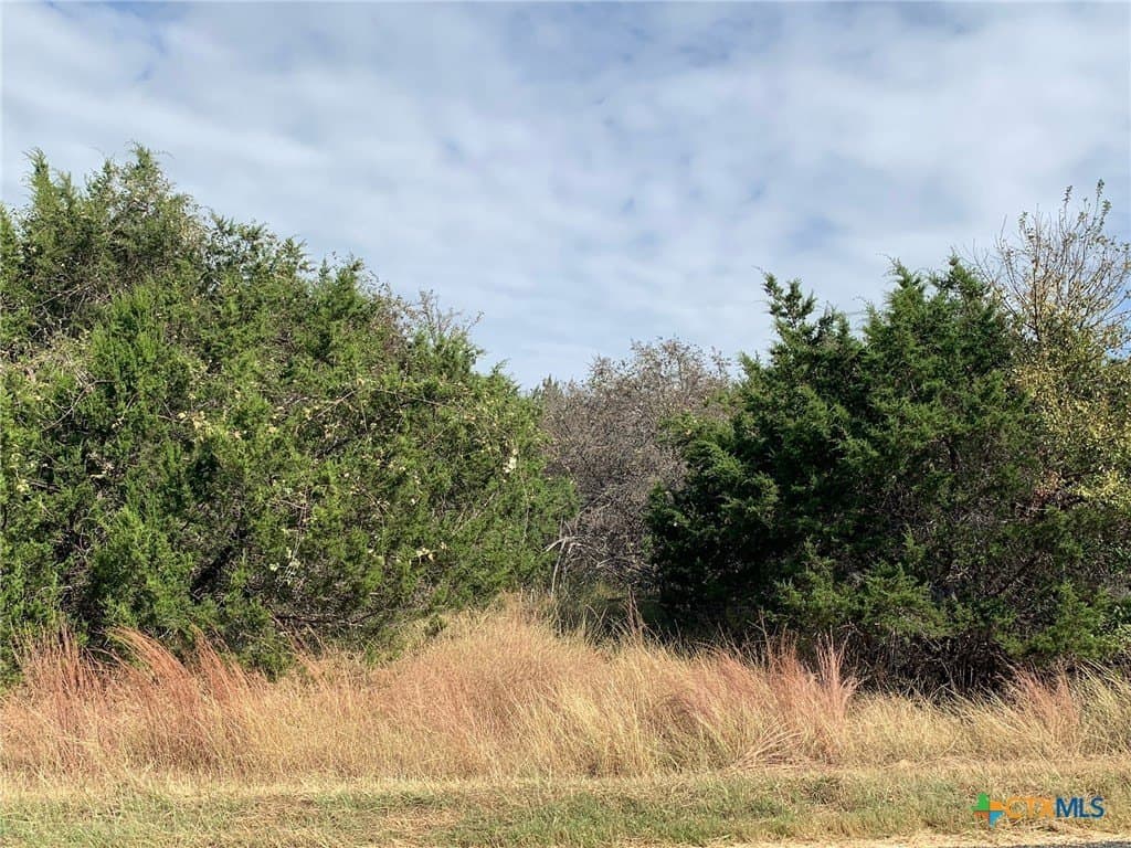 4.4 acres in Bell County - photo 9