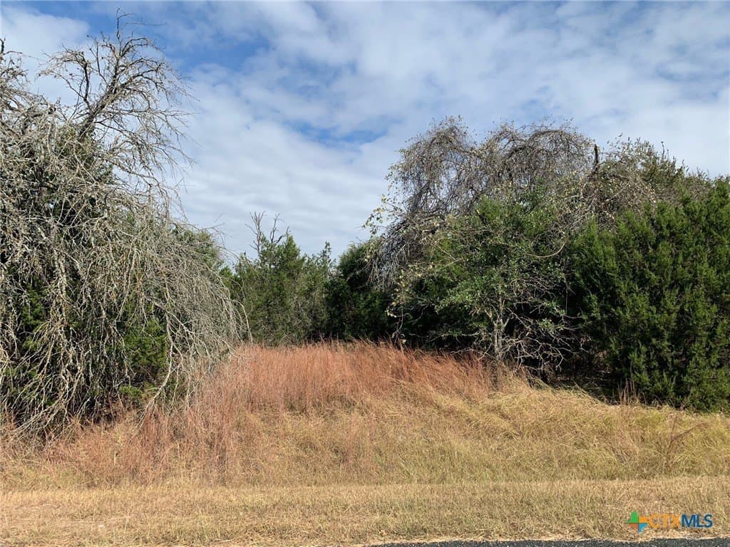 4.4 acres in Bell County - photo 14