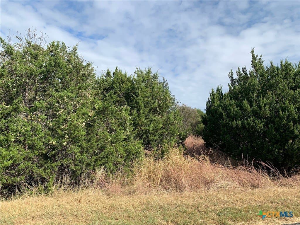 4.4 acres in Bell County - photo 11