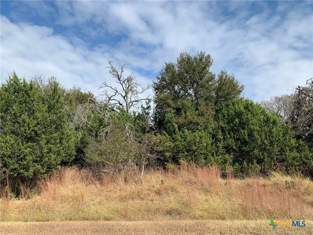 4.4 acres in Bell County - photo 15