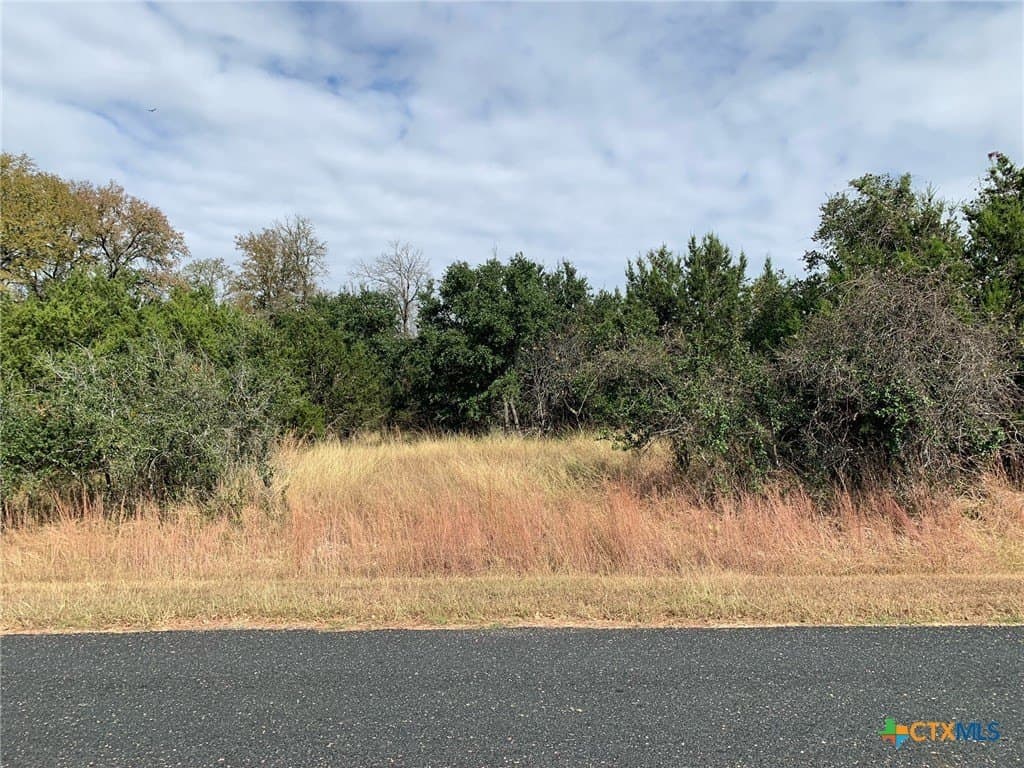 4.4 acres in Bell County - photo 8