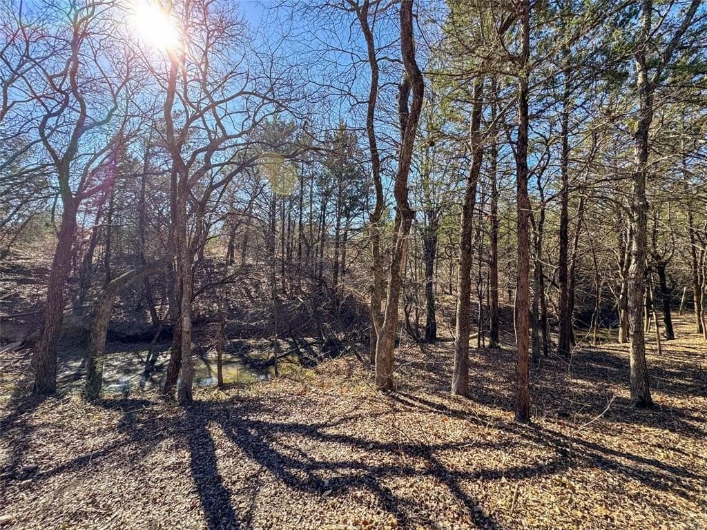 5 acres in Grayson County - photo 3