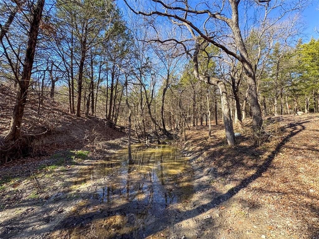 5 acres in Grayson County - photo 2