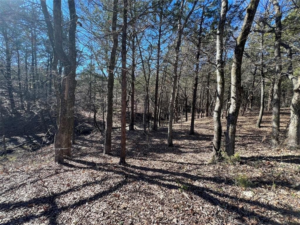 5 acres in Grayson County - photo 4