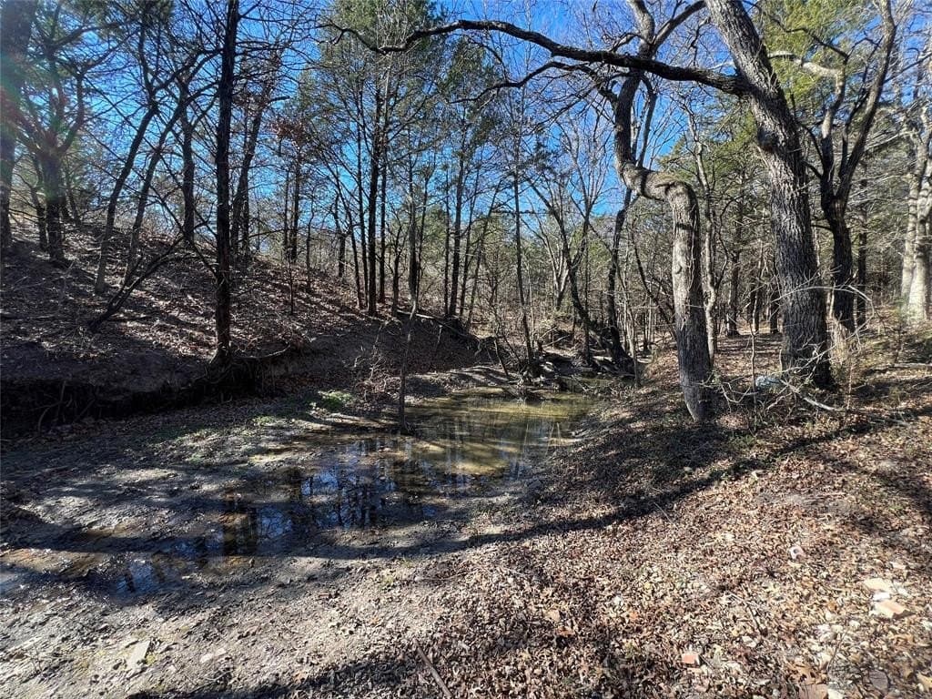 5 acres in Grayson County - photo 5