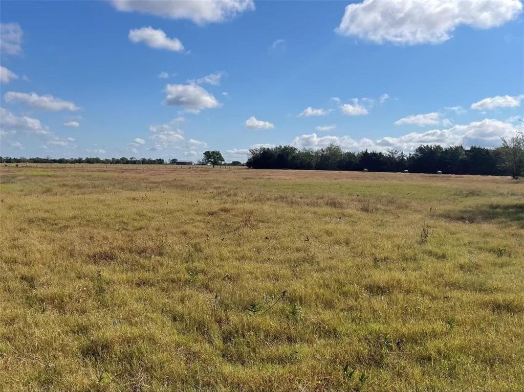 4 acres in Hopkins County - photo 6
