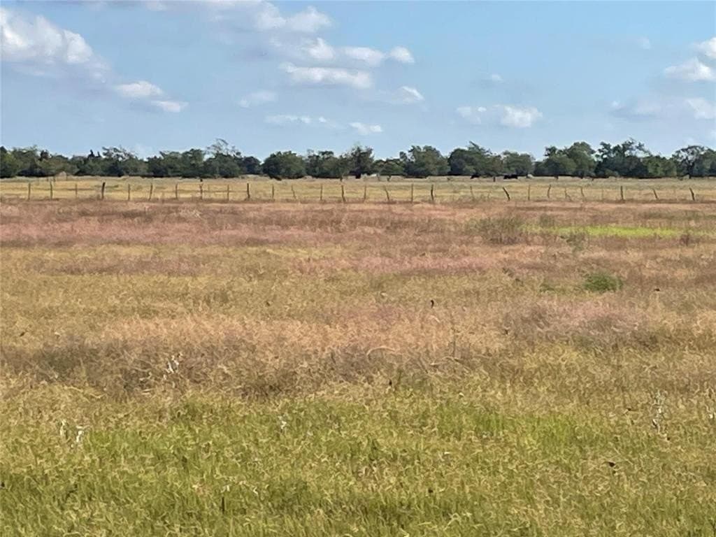 4 acres in Hopkins County - photo 3