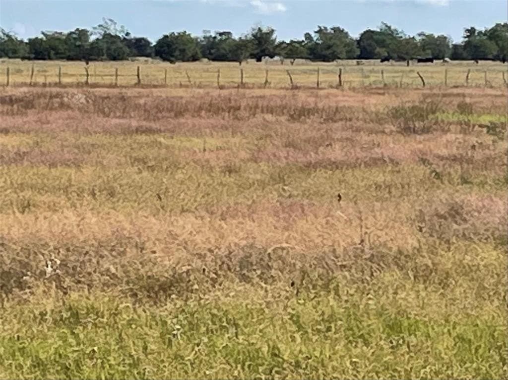 4 acres in Hopkins County - photo 9