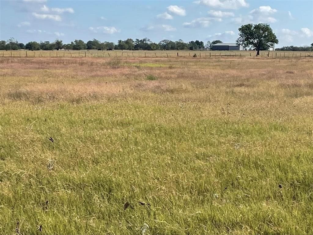 4 acres in Hopkins County - photo 8