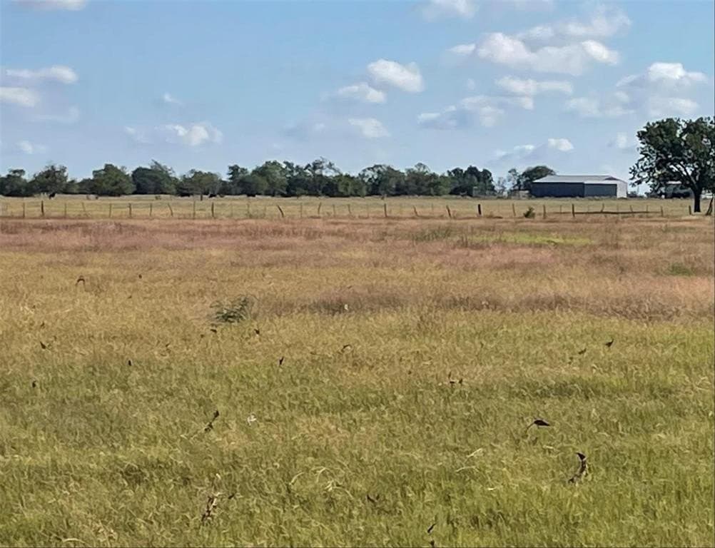 4 acres in Hopkins County - photo 4