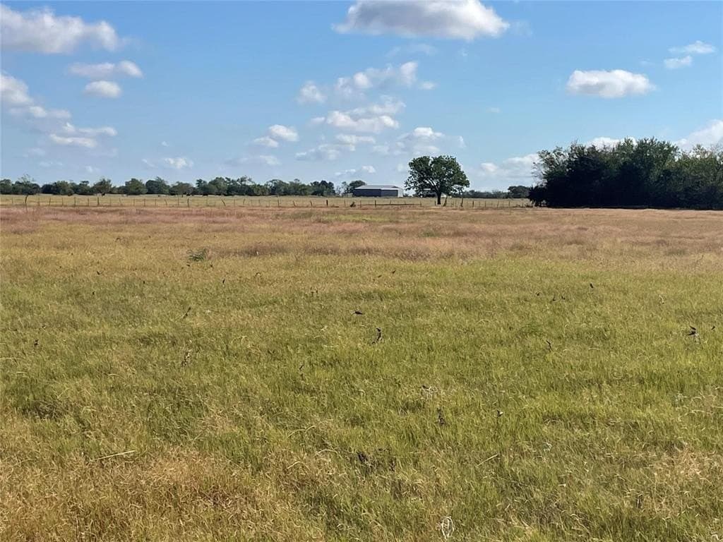 4 acres in Hopkins County - photo 2