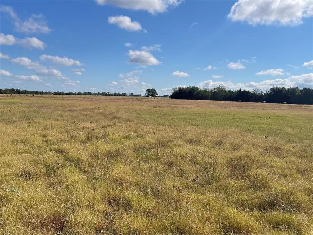 4 acres in Hopkins County - photo 7