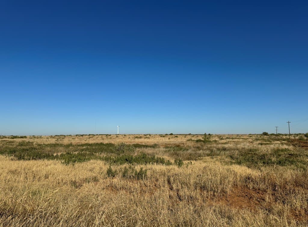 160 acres in Mitchell County - photo 3