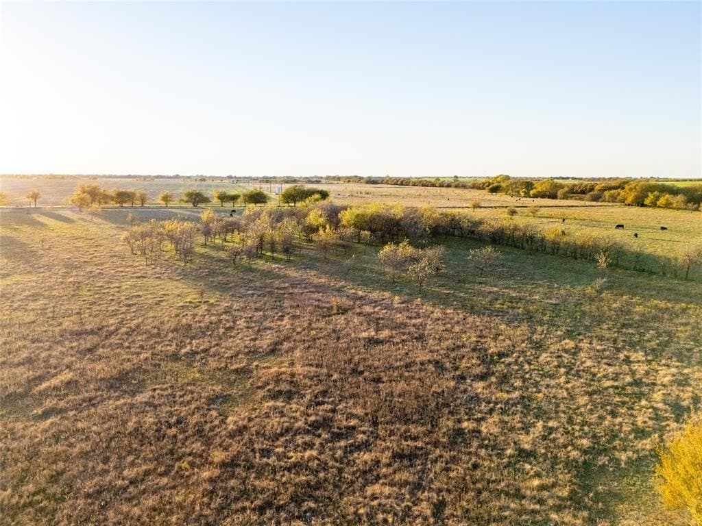 424 acres in Wise County - photo 12