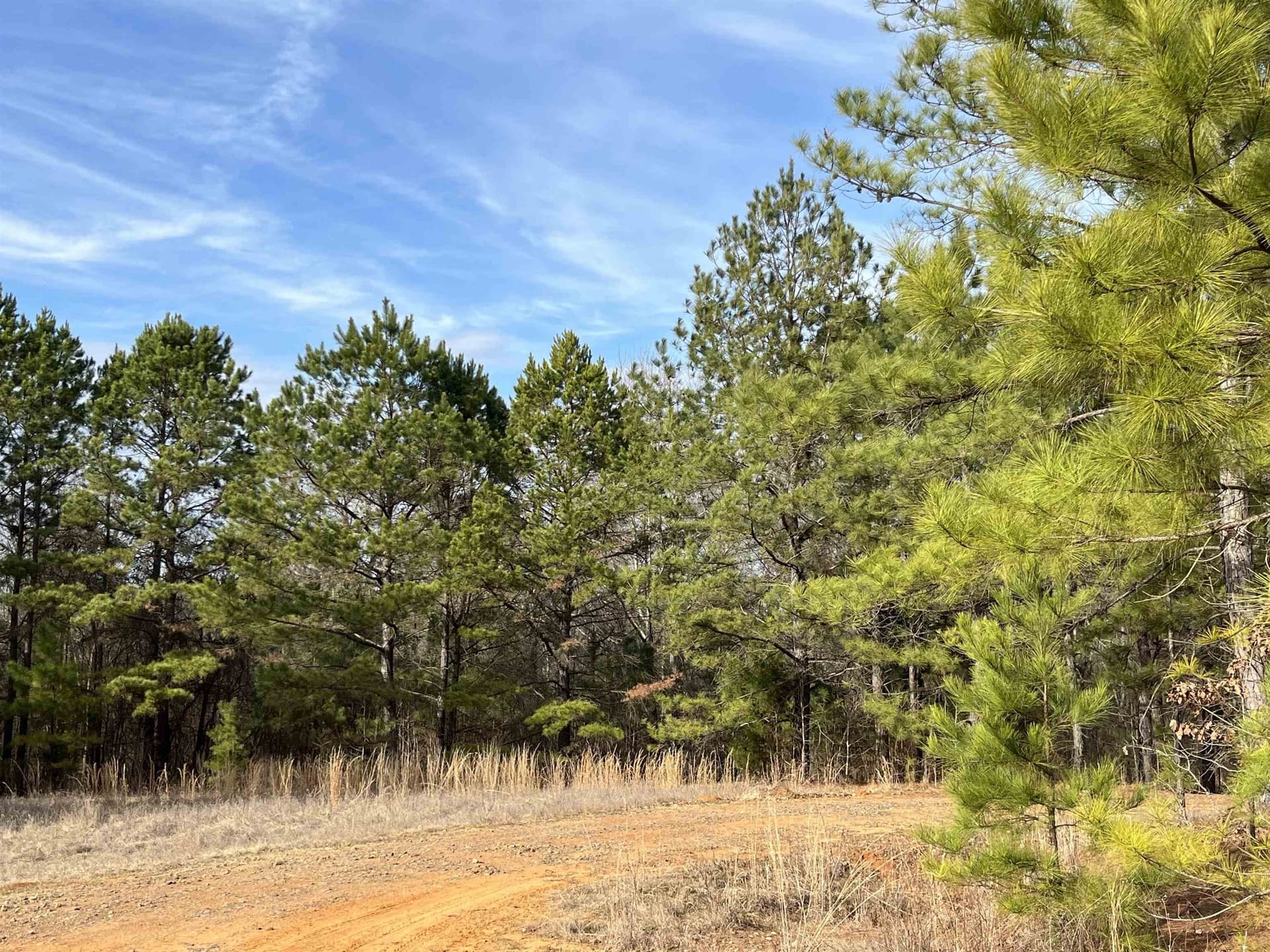 16.02 acres in Gregg County - photo 4