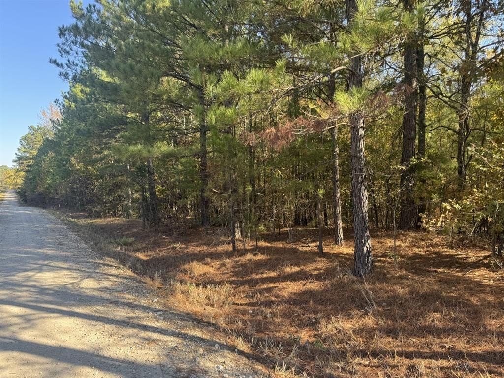 3.65 acres in Red River County - photo 2