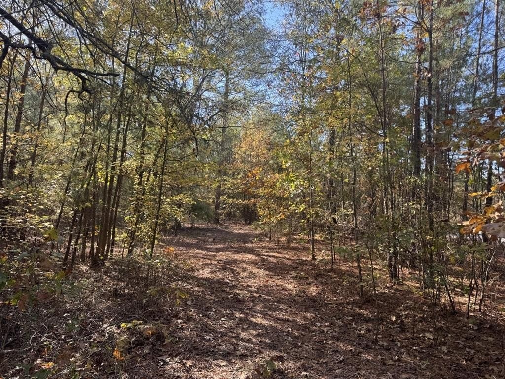 3.65 acres in Red River County - photo 6