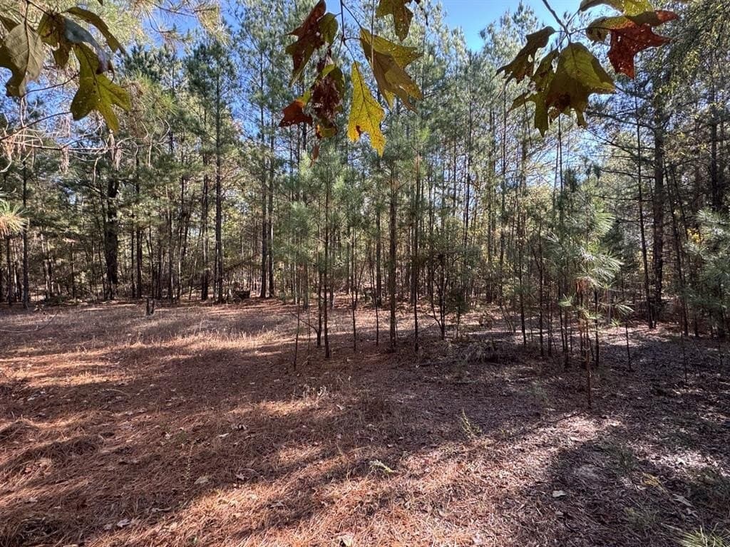 3.65 acres in Red River County - photo 7