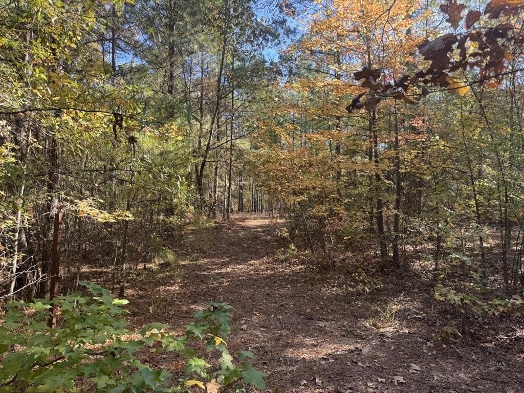 3.65 acres in Red River County - photo 5