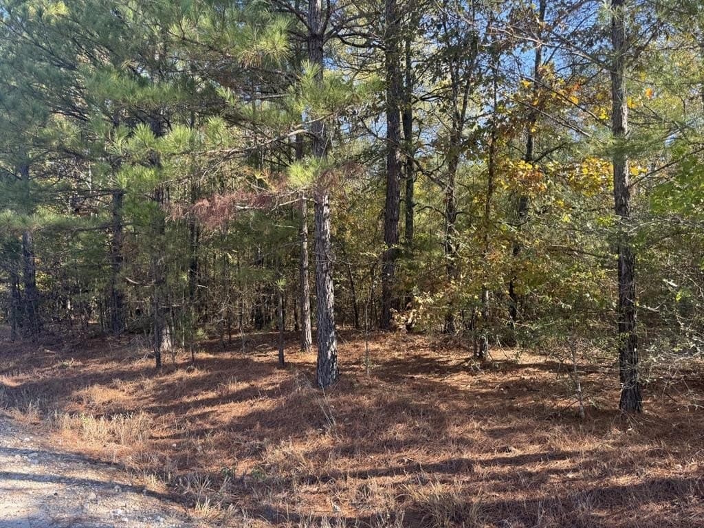 3.65 acres in Red River County - photo 3
