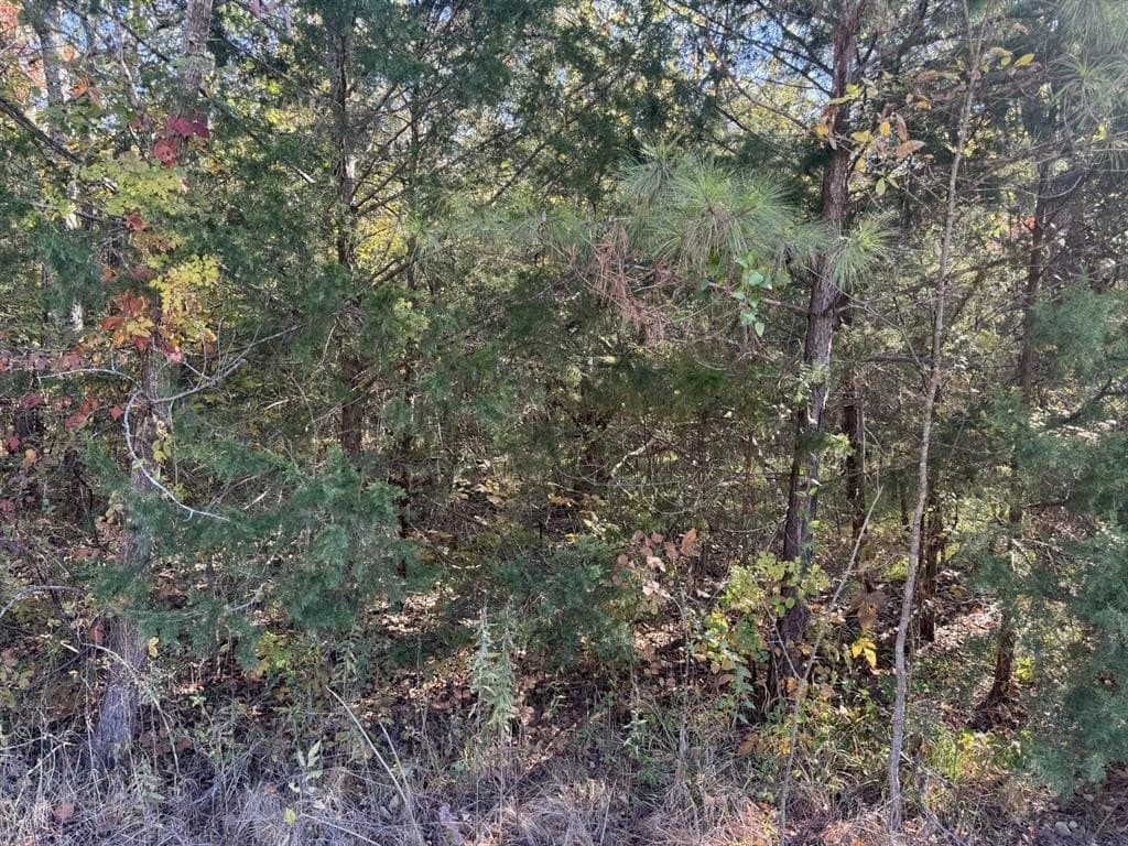 3.65 acres in Red River County - photo 4