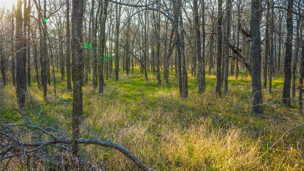 136 acres in Bell County - photo 32