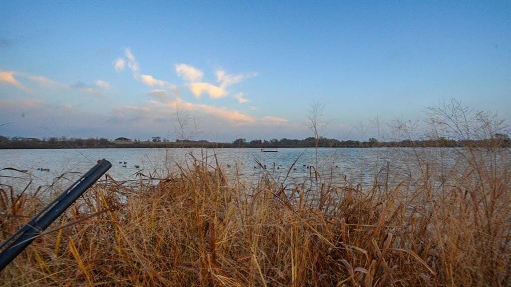 136 acres in Bell County - photo 7
