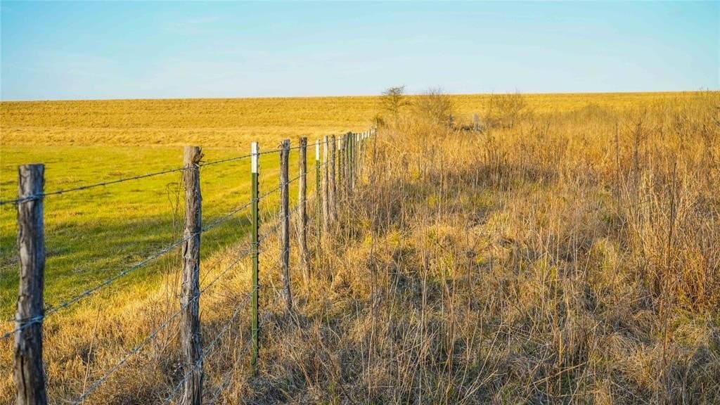 136 acres in Bell County - photo 33