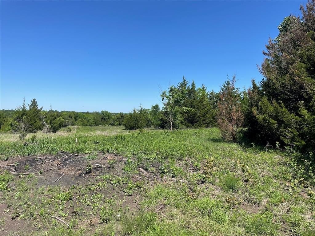 16.06 acres in Grayson County - photo 4