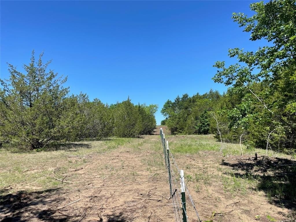 16.06 acres in Grayson County - photo 15