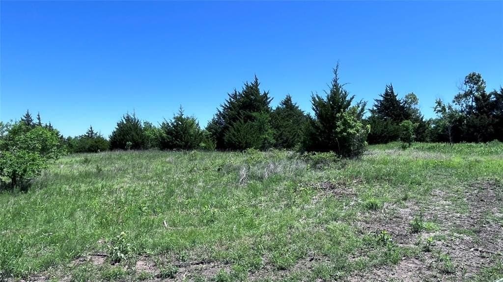 16.06 acres in Grayson County - photo 19