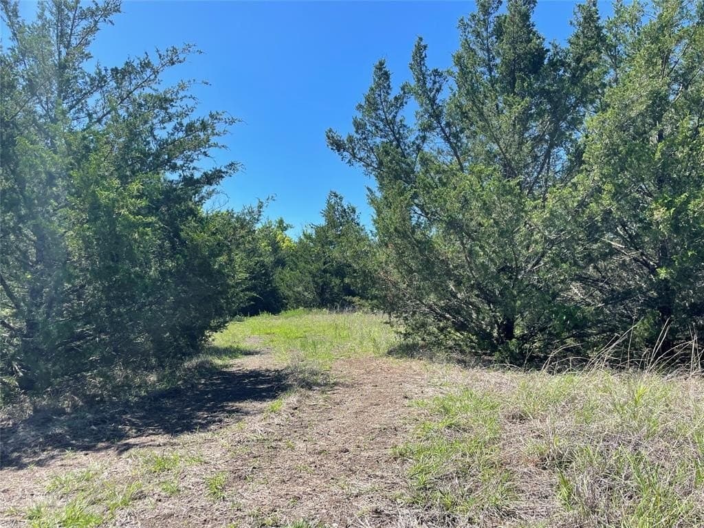 16.06 acres in Grayson County - photo 9