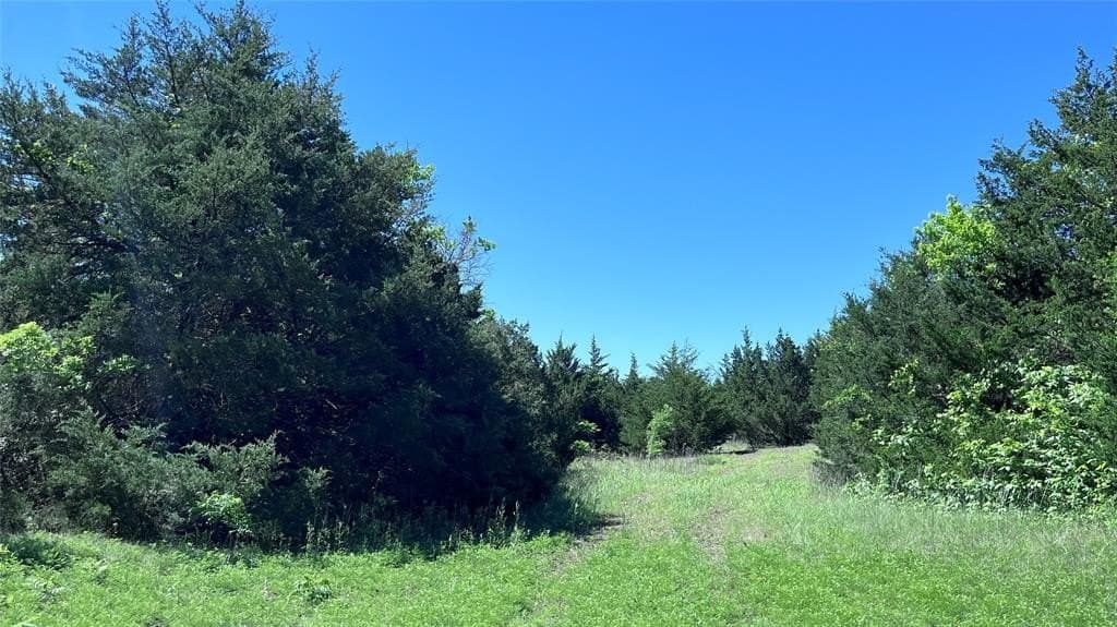 16.06 acres in Grayson County - photo 14