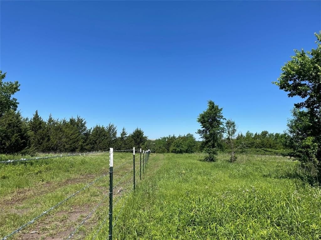 16.06 acres in Grayson County - photo 5