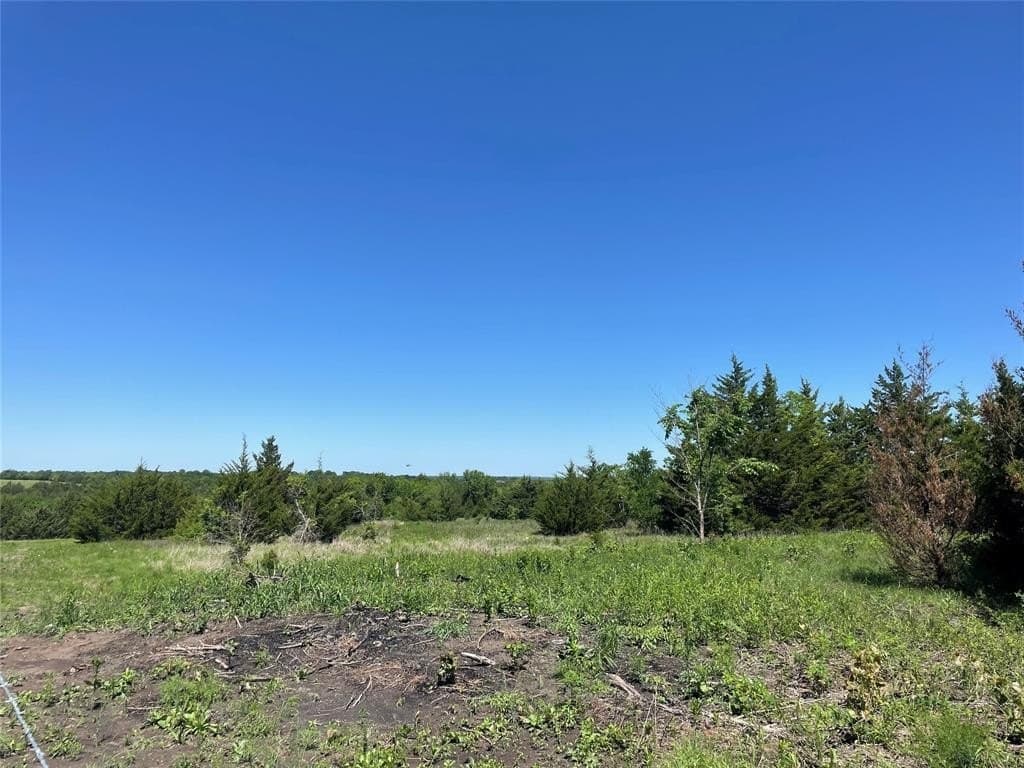 16.06 acres in Grayson County - photo 18