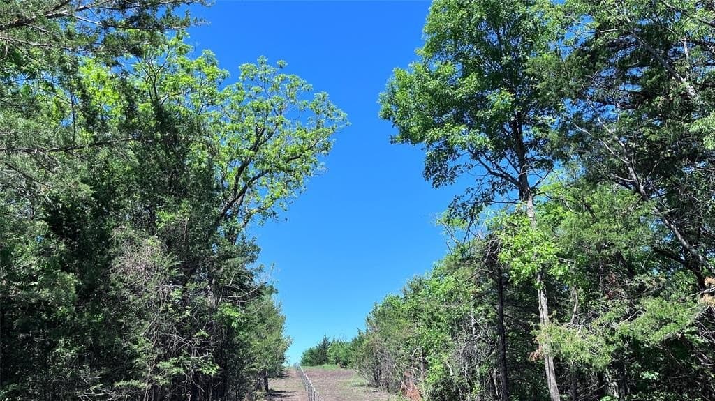16.06 acres in Grayson County - photo 17
