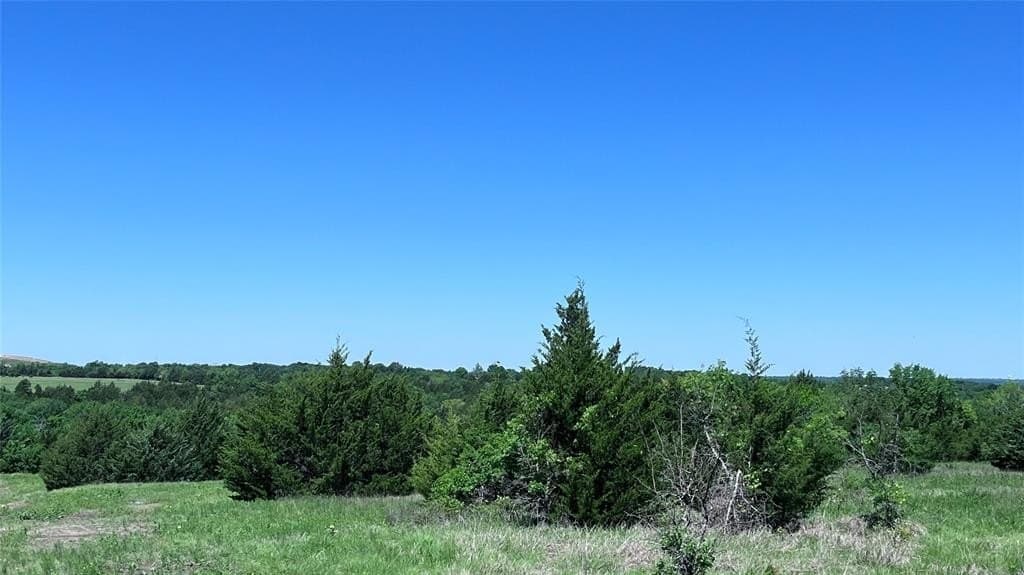 16.06 acres in Grayson County - photo 2
