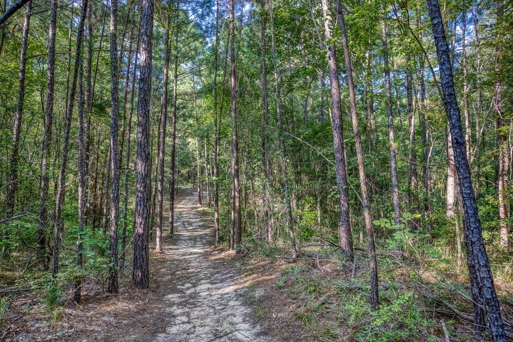 29.7 acres in ANDERSON County - photo 45