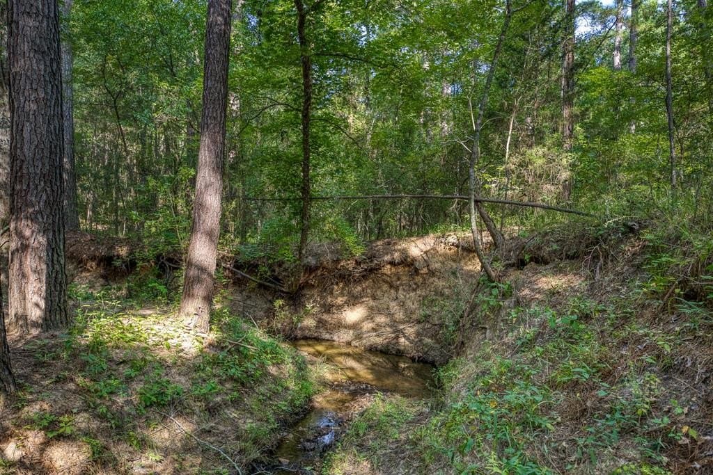 29.7 acres in ANDERSON County - photo 48