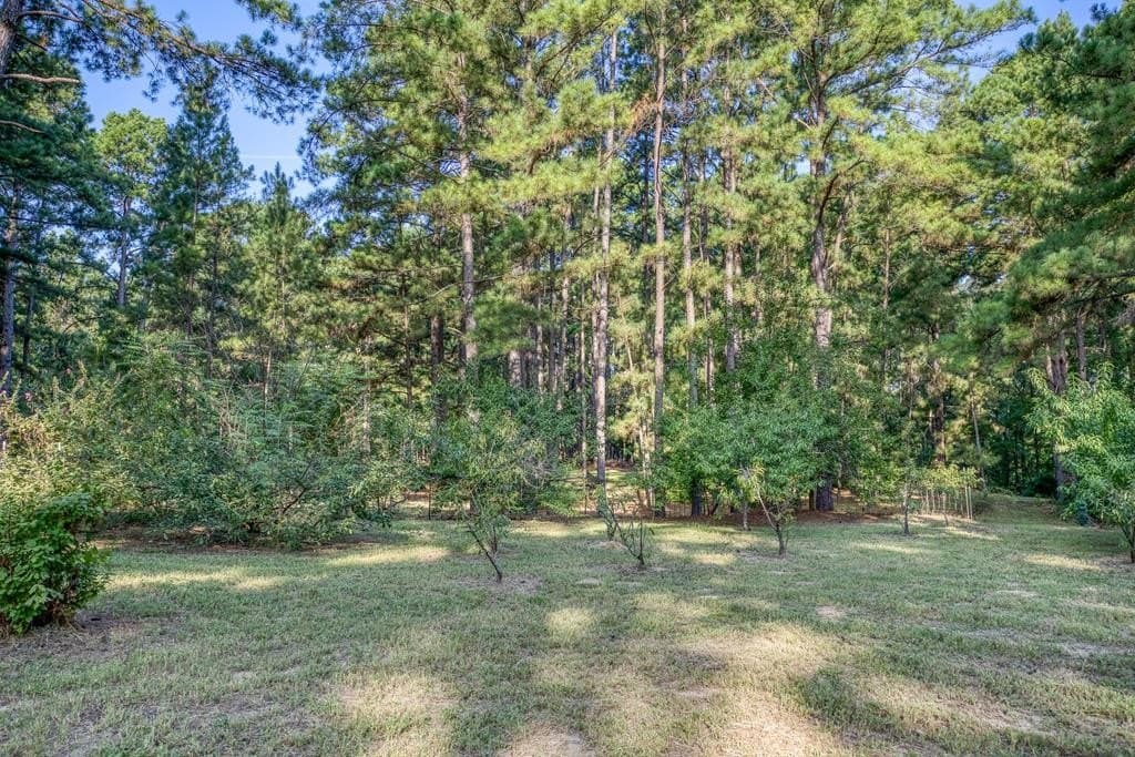 29.7 acres in ANDERSON County - photo 27