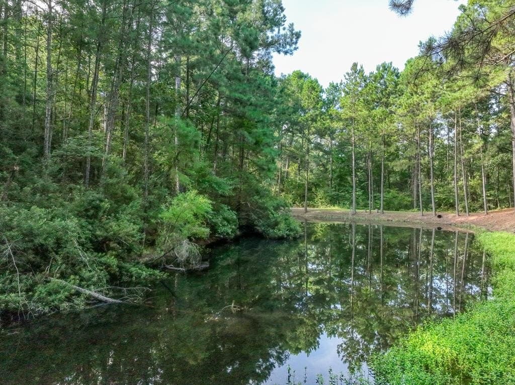 29.7 acres in ANDERSON County - photo 42