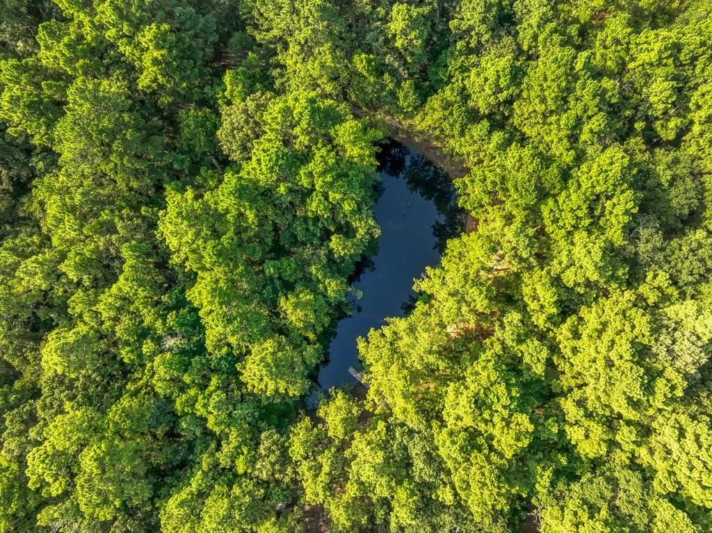 29.7 acres in ANDERSON County - photo 43