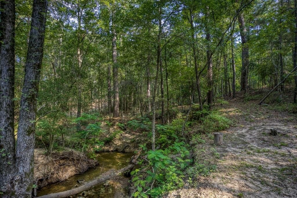 29.7 acres in ANDERSON County - photo 49